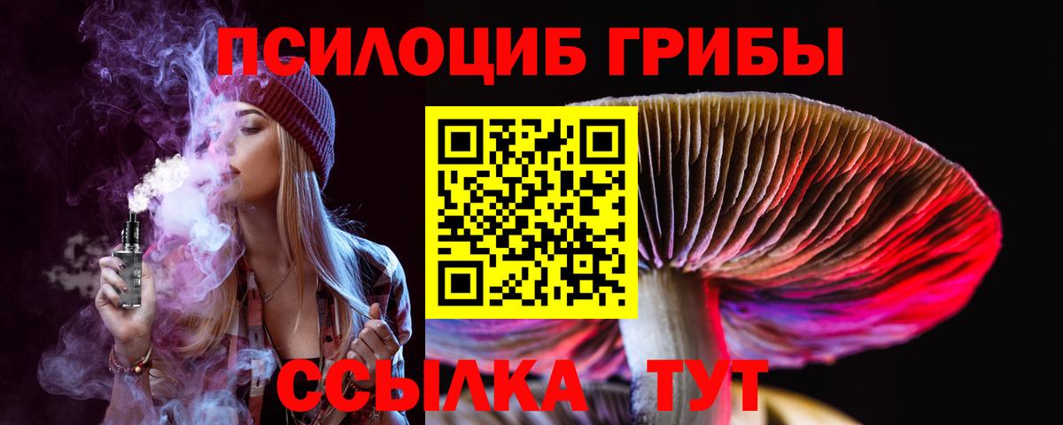 Псилоцибиновые грибы MAGIC MUSHROOMS  купить наркотики сайты  Майский  Псилоцибиновые грибы GOLDEN TEACHER  Вход с VPN 
